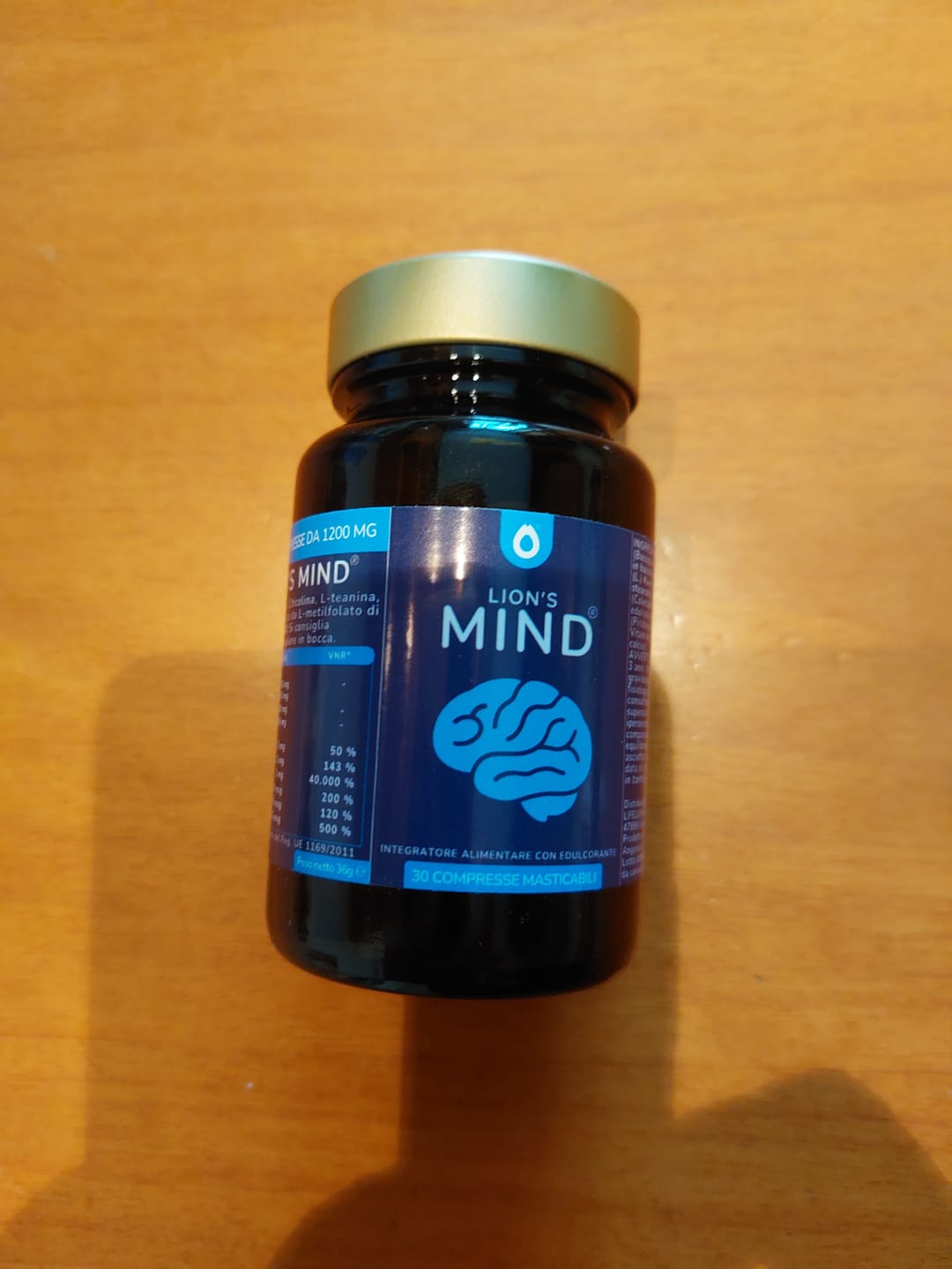 Customer photo review of Lion's Mind