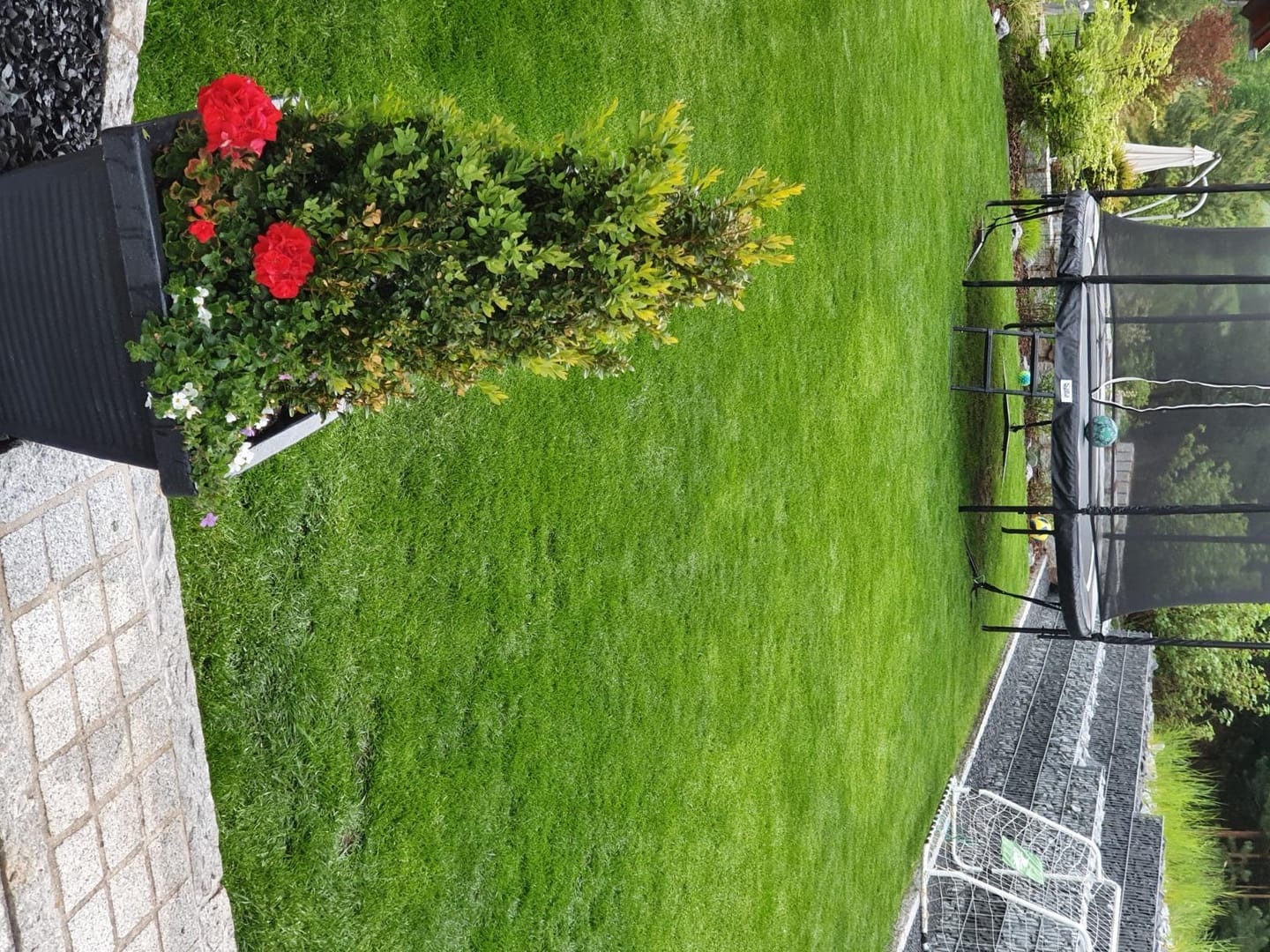 Customer photo review of HaGaFe TURBO Rasendünger, 20% N Dünger, Volldünger, Spezialdünger mit Sofort und Langzeitwirkung, sattes Grün in einer Woche