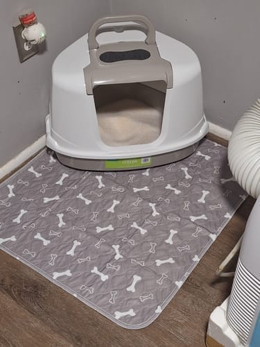 Customer photo review of Mascoly™– Tapete Lavable con Feromonas para Perros