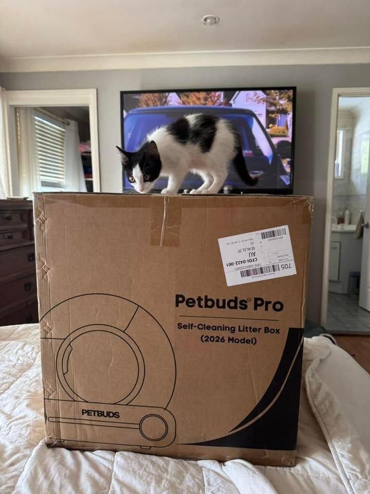 Customer photo review of Petbuds™ Pro 2026 Automatic Self-Cleaning Litter Box