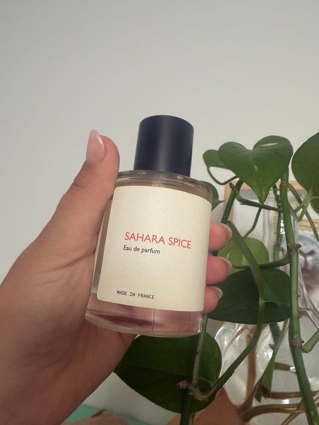 Customer photo review of Sahara Spice