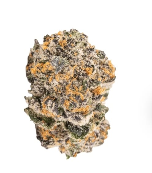 Customer photo review of Black Cherry Gelato Hauler - 3.5g