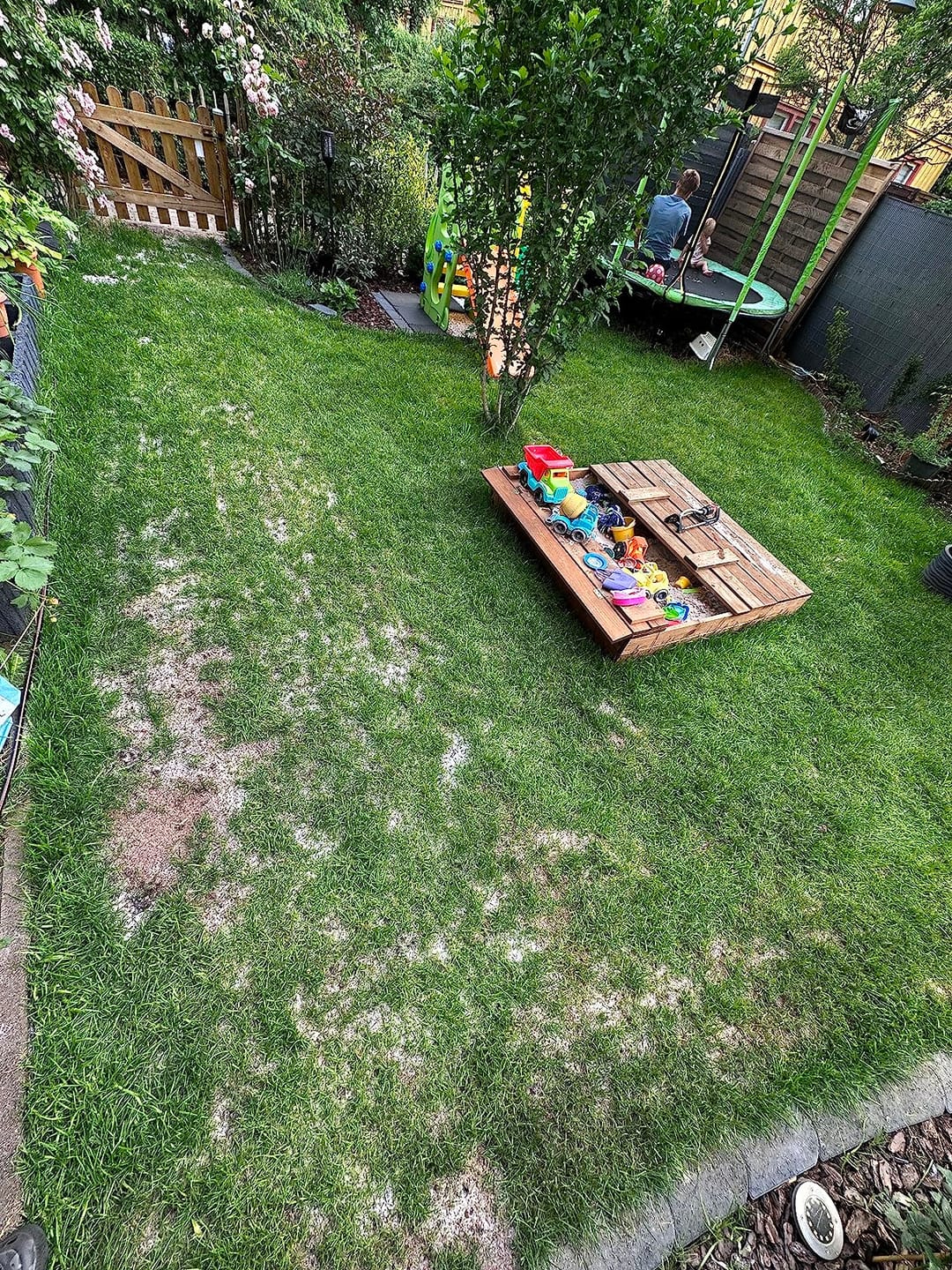 Customer photo review of Floragard Rasensand, Quarzsand, Gartensand, Rasen - Sand zum Lüften schwerer Böden, ideal nach dem Vertikutieren