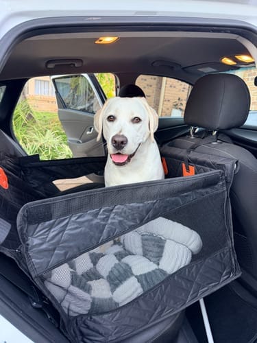 Customer photo review of Pawlow Hard Bottom Seat Cover.