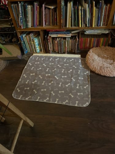 Customer photo review of Mascoly™– Tapete Lavable con Feromonas para Perros