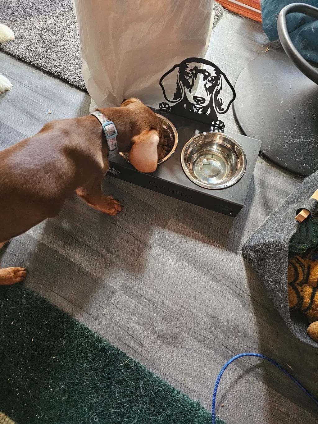 Customer photo review of Custom Name Dog Bowl Stand - Dachshund Dog