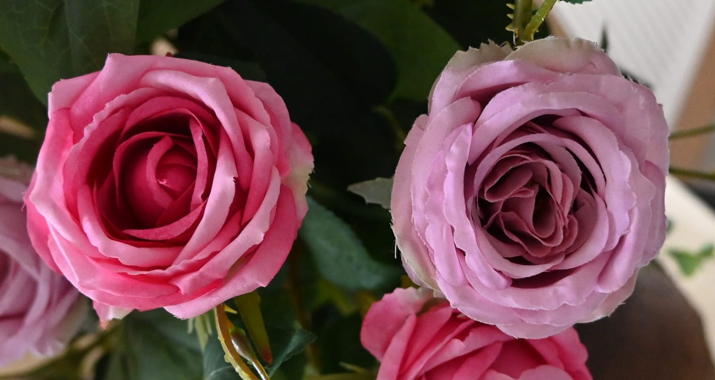 Customer photo review of 60cm Künstliche Rosenstiele mit Ästen- Zum Arrangieren, Wohnaccessoires, Home Decor, Blumen Dekoration