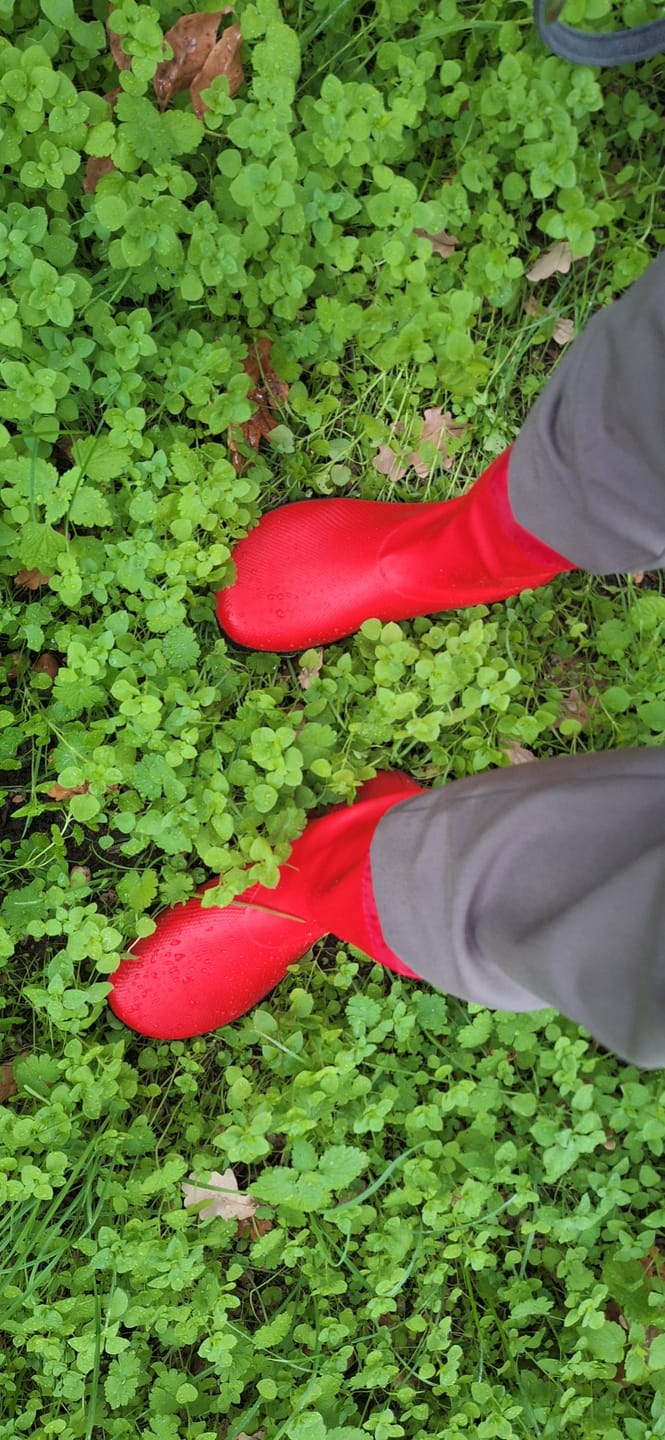 Customer photo review of Brisk Ⅰ - Barfuß-Gummistiefel