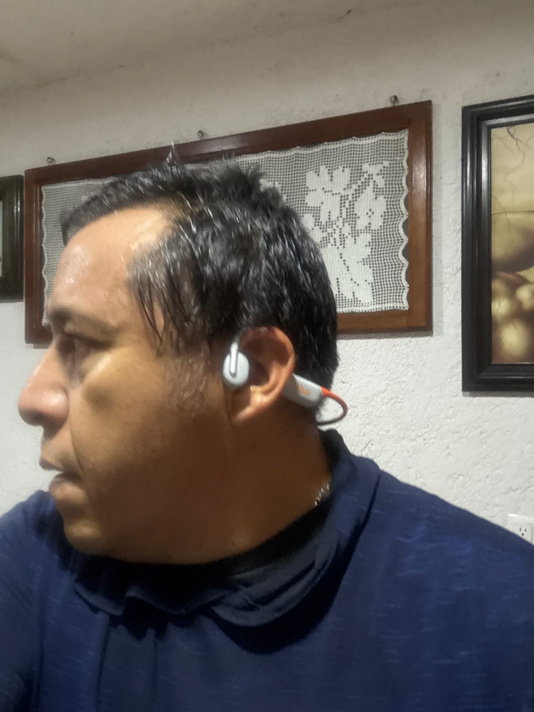 Customer photo review of Kivo Alba