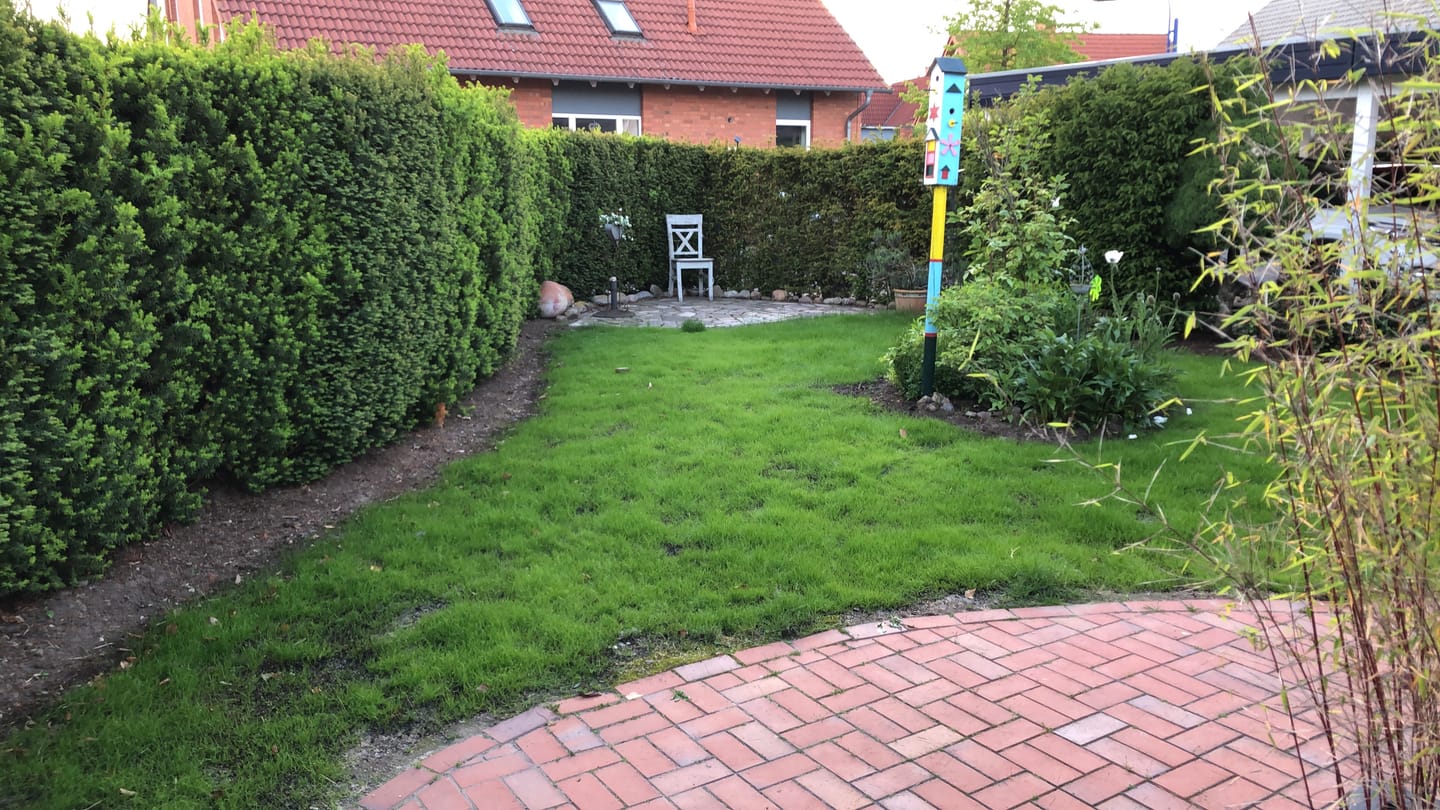 Customer photo review of Plantaflor Plus Rasenerde, Spezial Erde für Rasen, Neuanlagen und Ausbesserungen