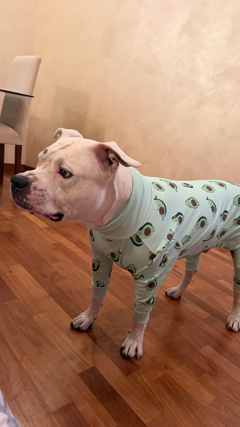 Customer photo review of Dog Pajama - Avocado
