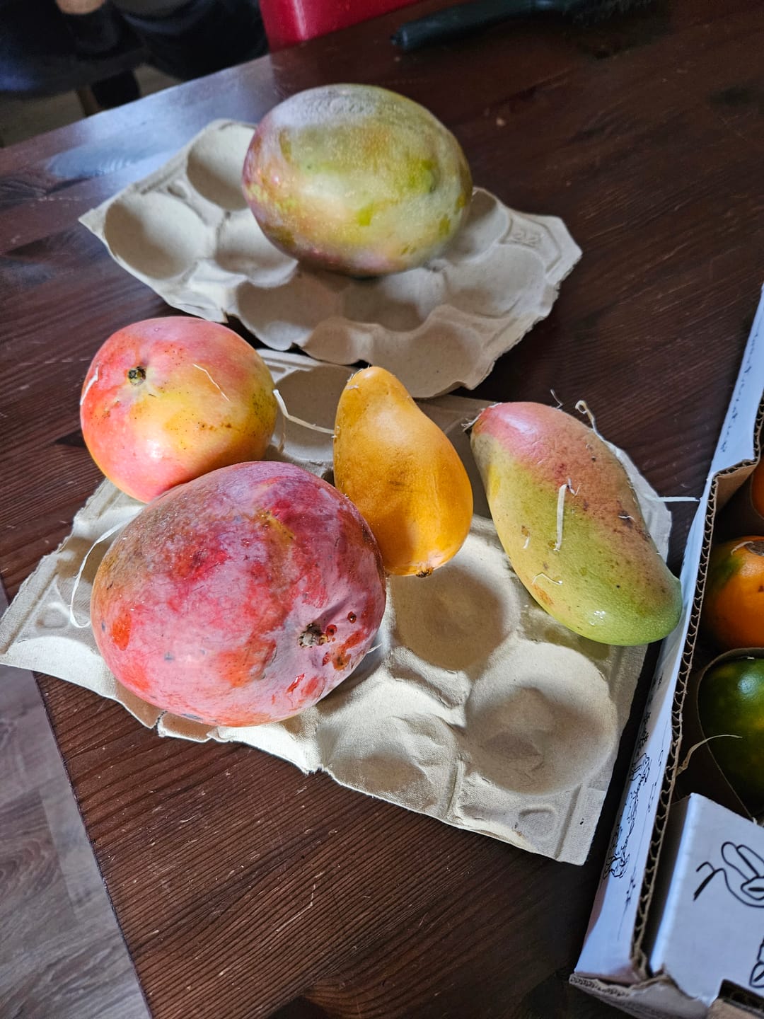 Customer photo review of Mango Mix von Juan 3kg Aktion %