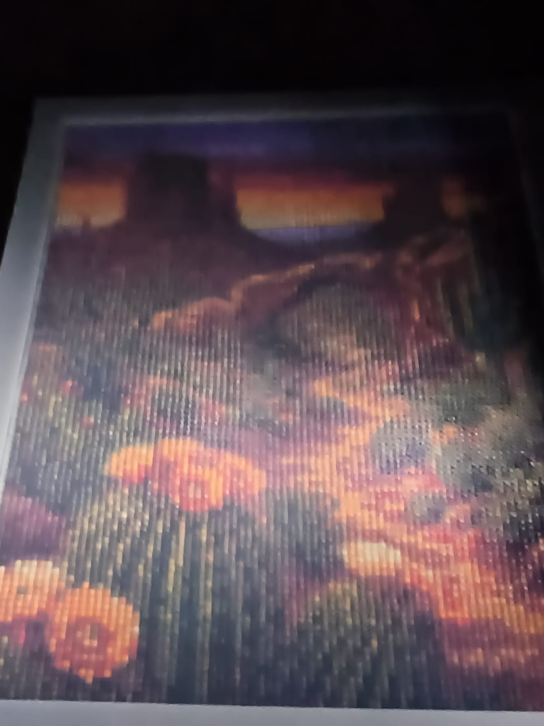 Customer photo review of Desert Arch Cactus (Diamond Painting)