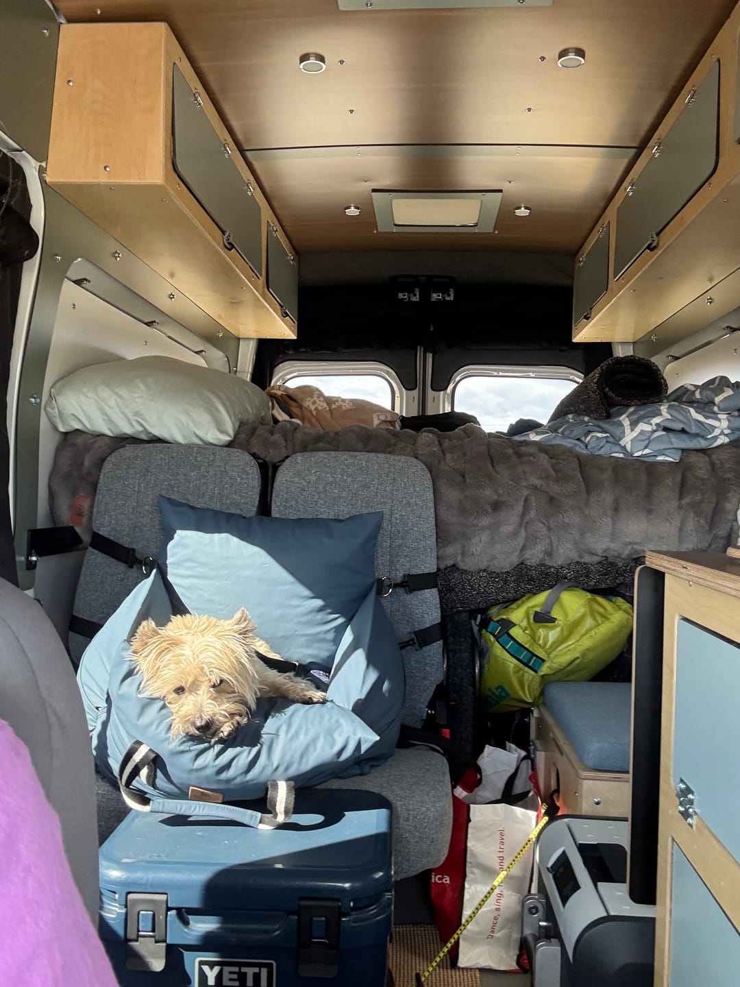 Customer photo review of Dog Dock V2 New With Latch Anchors