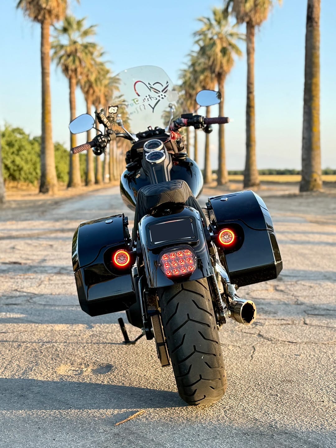 Customer photo review of 32L - Darkin Large Quick Mount Painted Hard Saddlebags for Harley Softail Low Rider S FXLRS