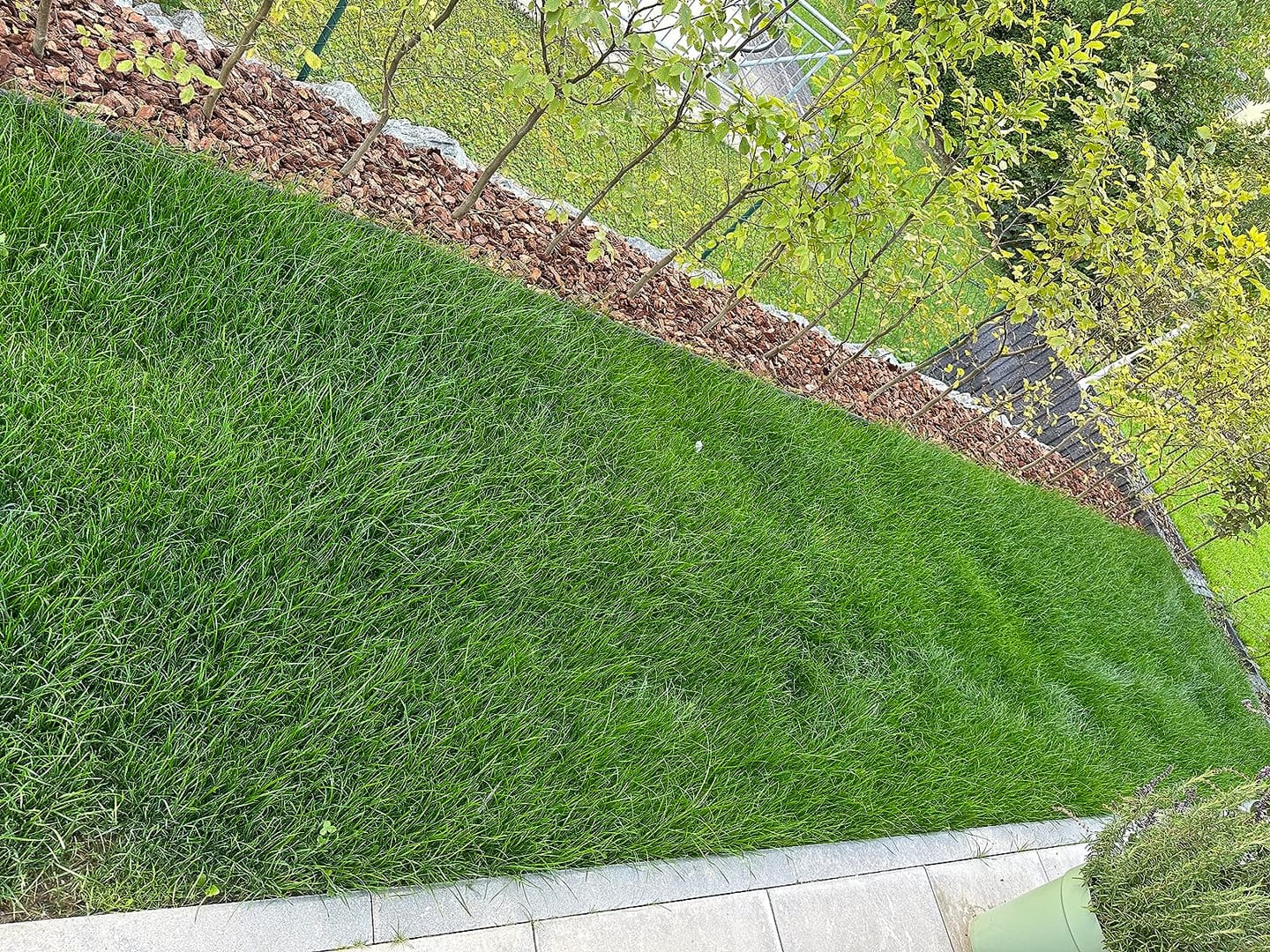 Customer photo review of Floragard Rasensand, Quarzsand, Gartensand, Rasen - Sand zum Lüften schwerer Böden, ideal nach dem Vertikutieren