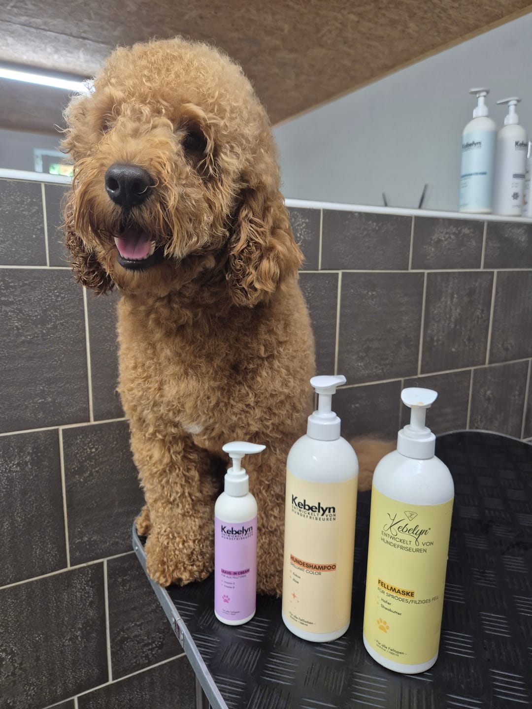 Customer photo review of Fellmaske für Hunde Großgebinde – 1000 ml