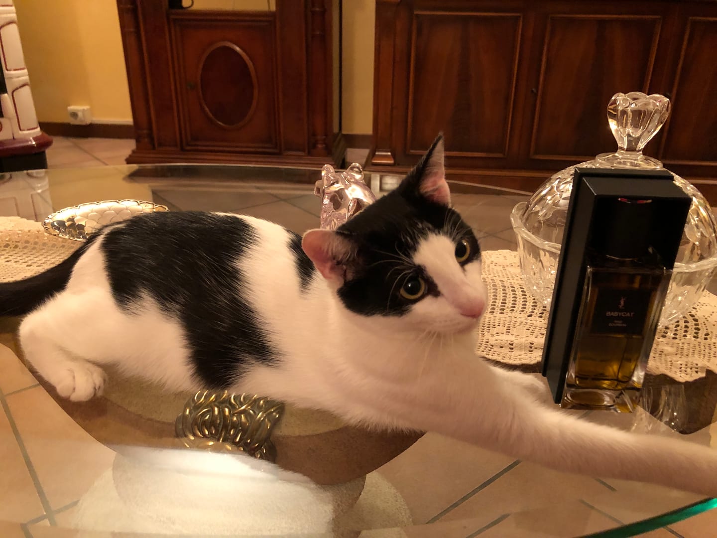Customer photo review of YVES SAINT LAURENT - BABYCAT