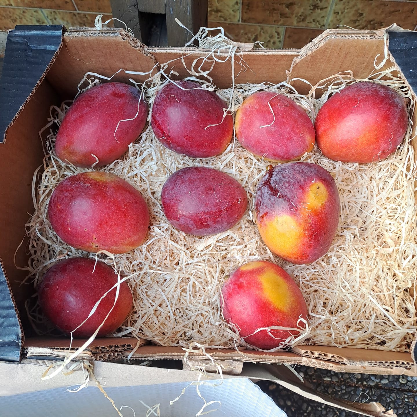 Customer photo review of Mango Sensacion von Julian Sonderaktion