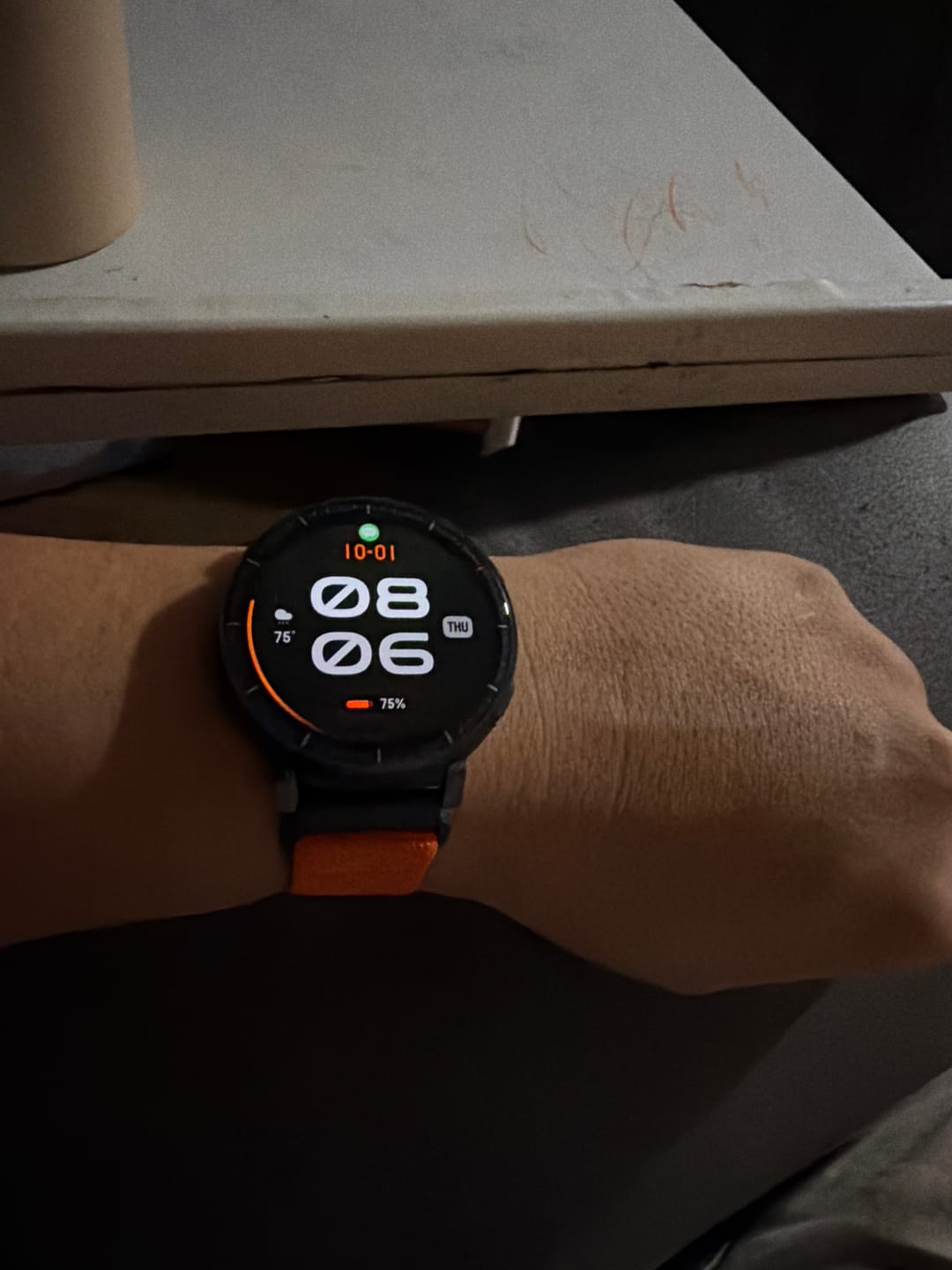 Customer photo review of Active Max