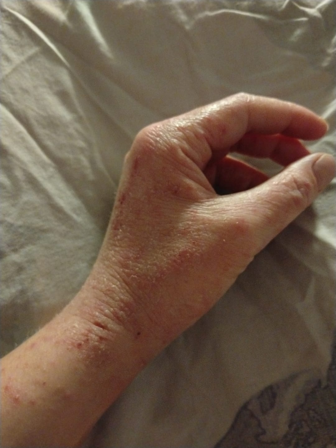 Customer photo review of Silky Sage Talivoide