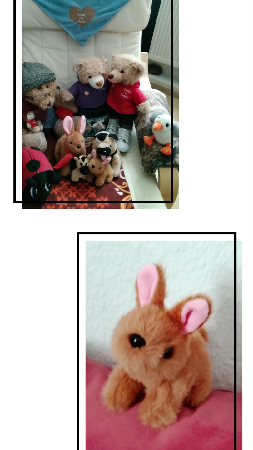 Customer photo review of Brenda the Bunny Keyring