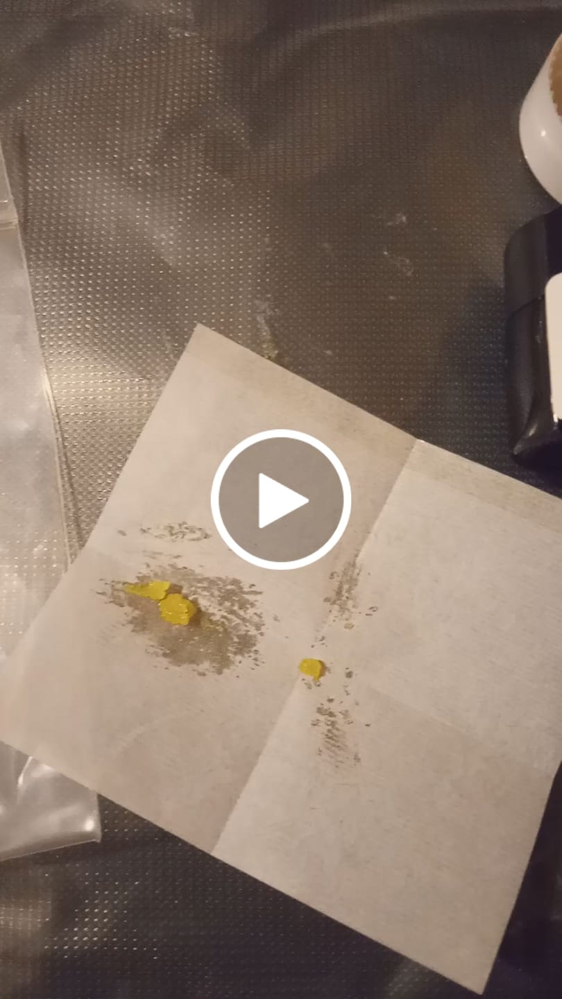 Customer video review of (BOGO)Apple Fritter 3.5G Crushed Diamond - Carnival I