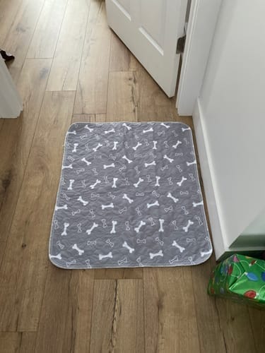 Customer photo review of Mascoly™– Tapete Lavable con Feromonas para Perros