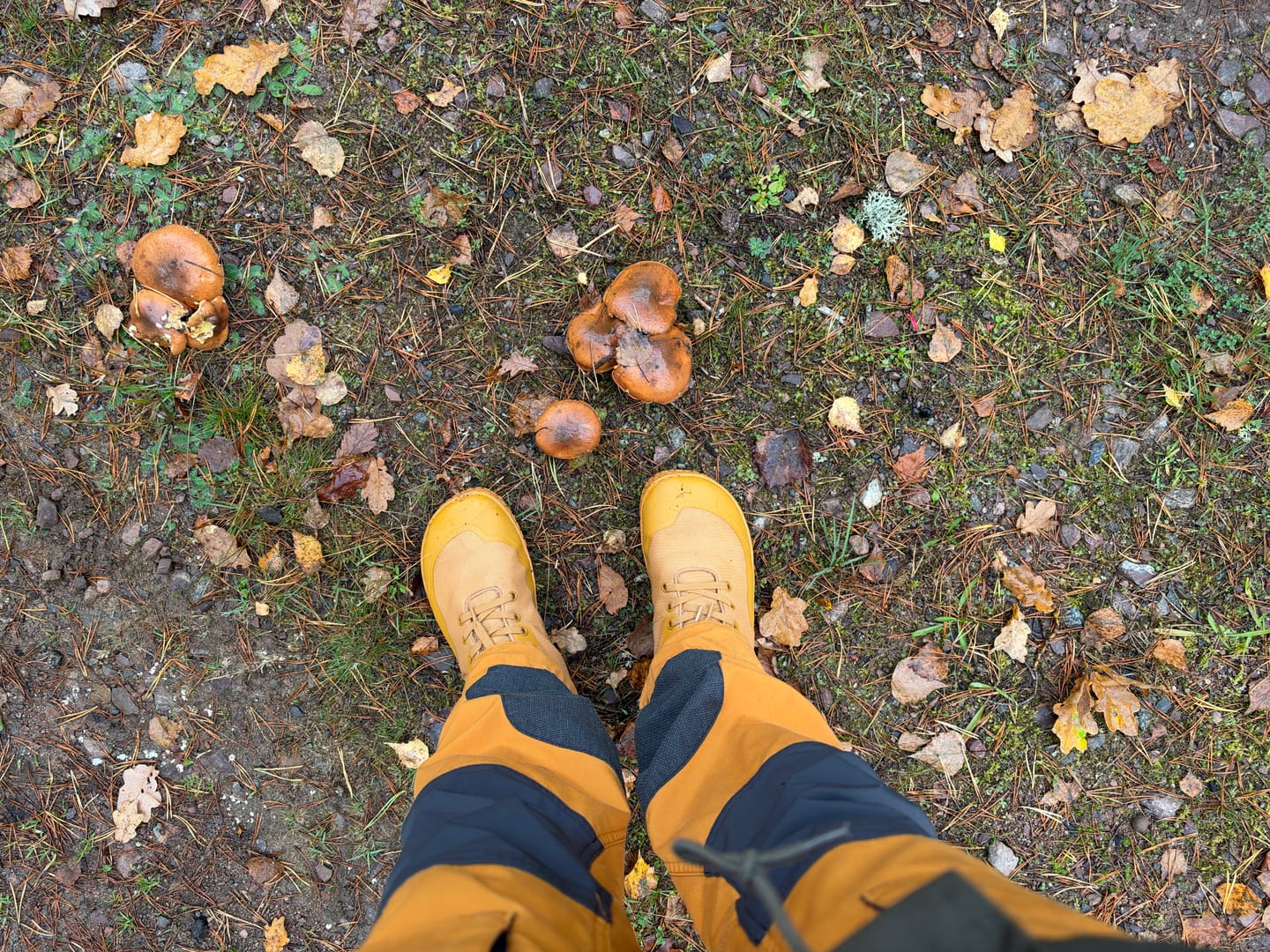 Customer photo review of Vaistoa Tuohi 2 | Barefoot Light Hiking Shoes