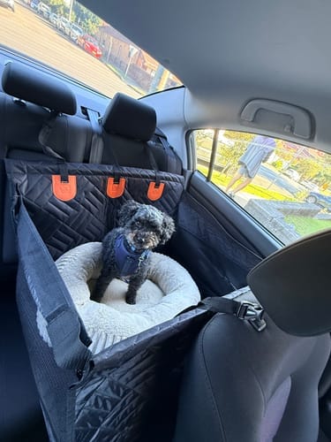Customer photo review of Pawlow Hard Bottom Seat Cover.