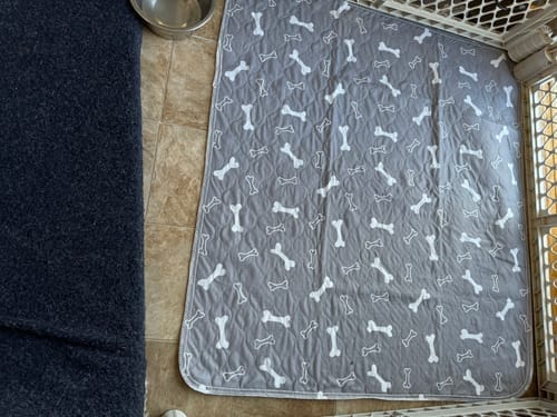 Customer photo review of Mascoly™– Tapete Lavable con Feromonas para Perros
