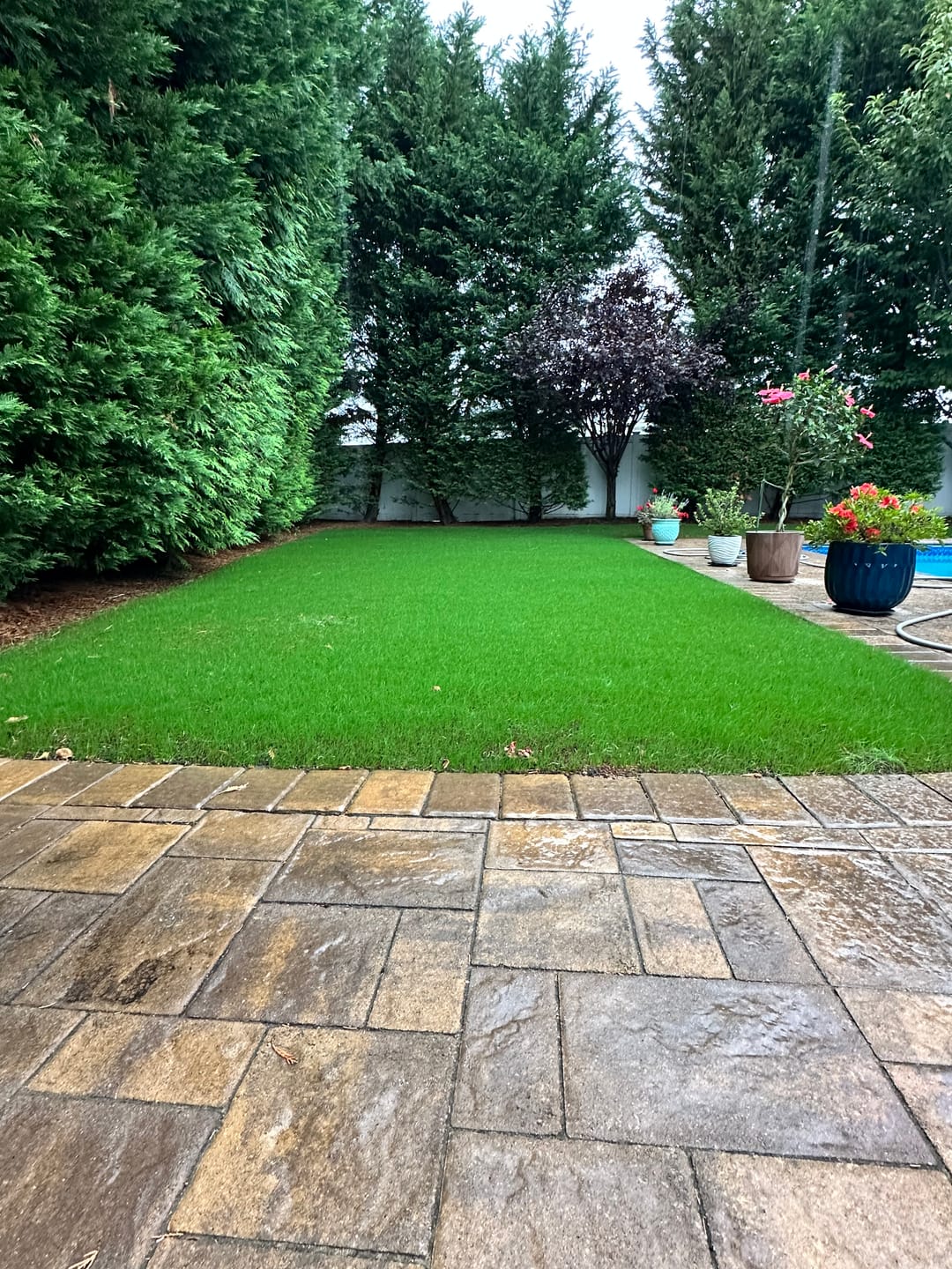 Customer photo review of CarbonizPN®-G Granular Soil Enhancer