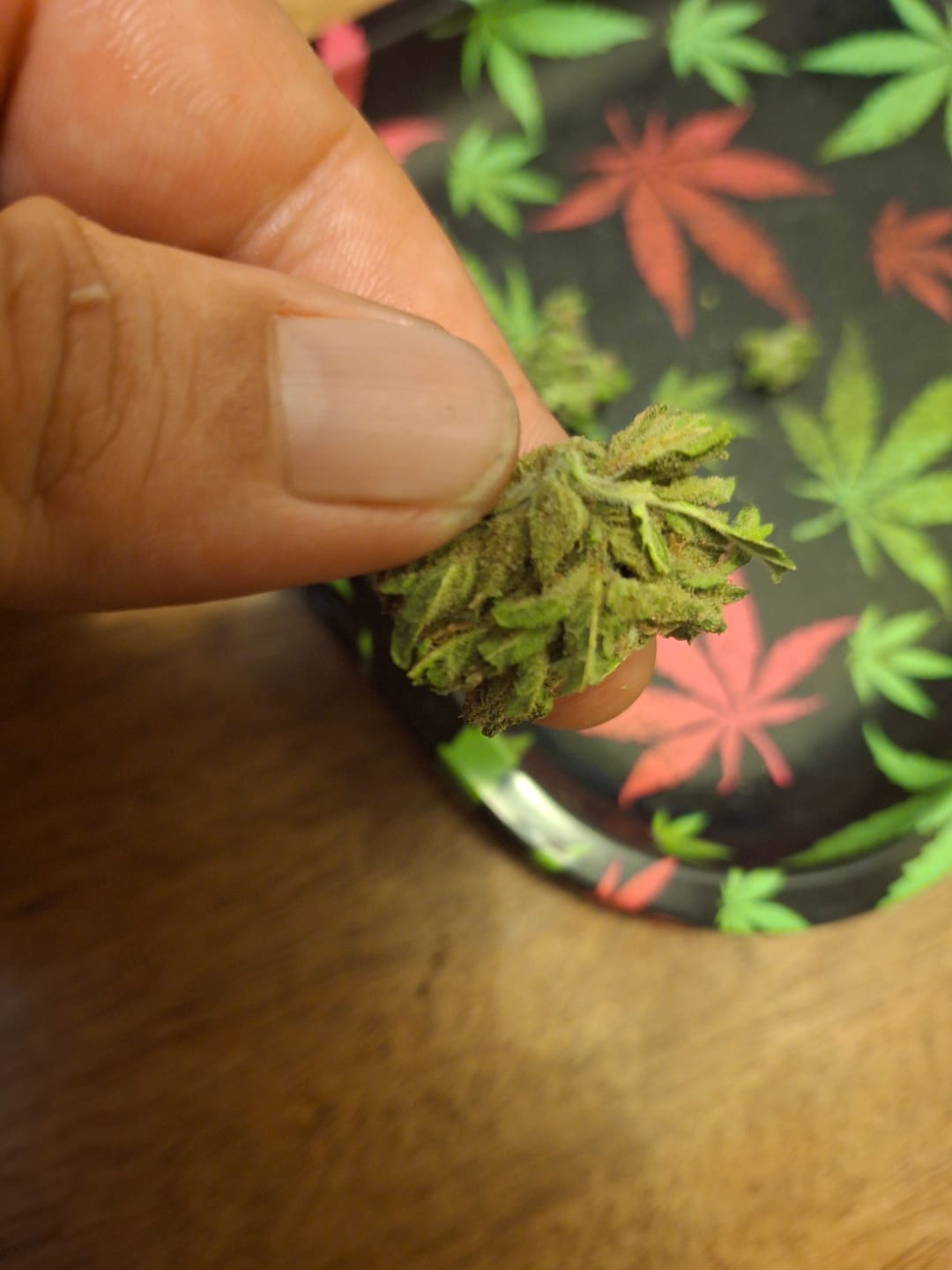 Customer photo review of Northern Lights - 28 Grams - Indica