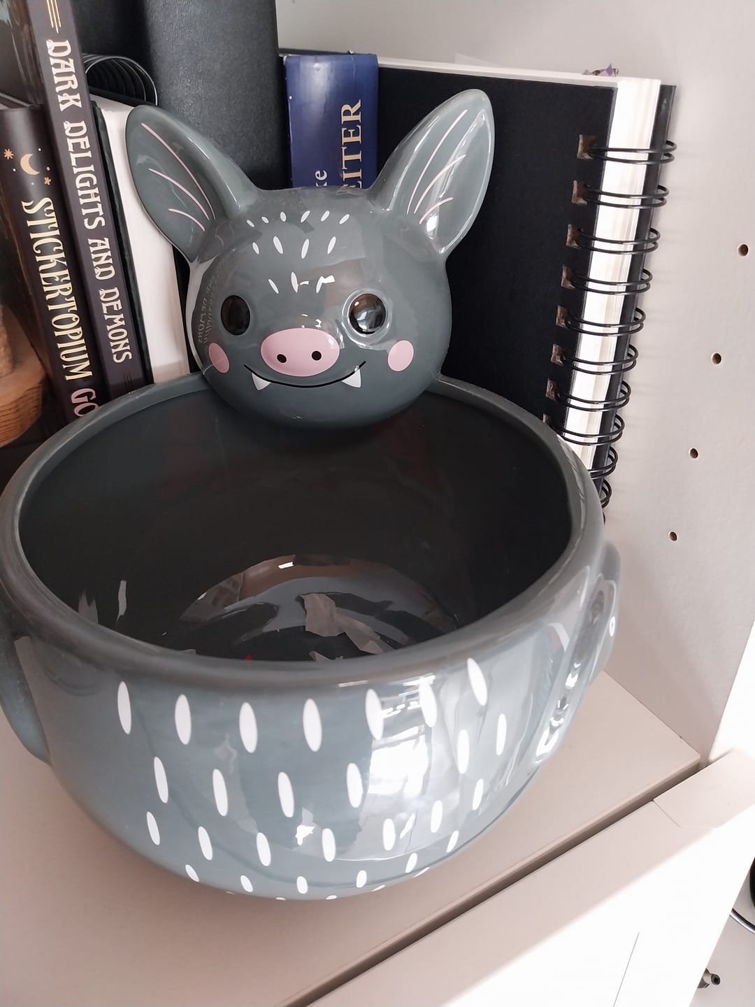 Customer photo review of Fledermaus Schale – Große Keramik-Servierschale für Snacks & Süßes