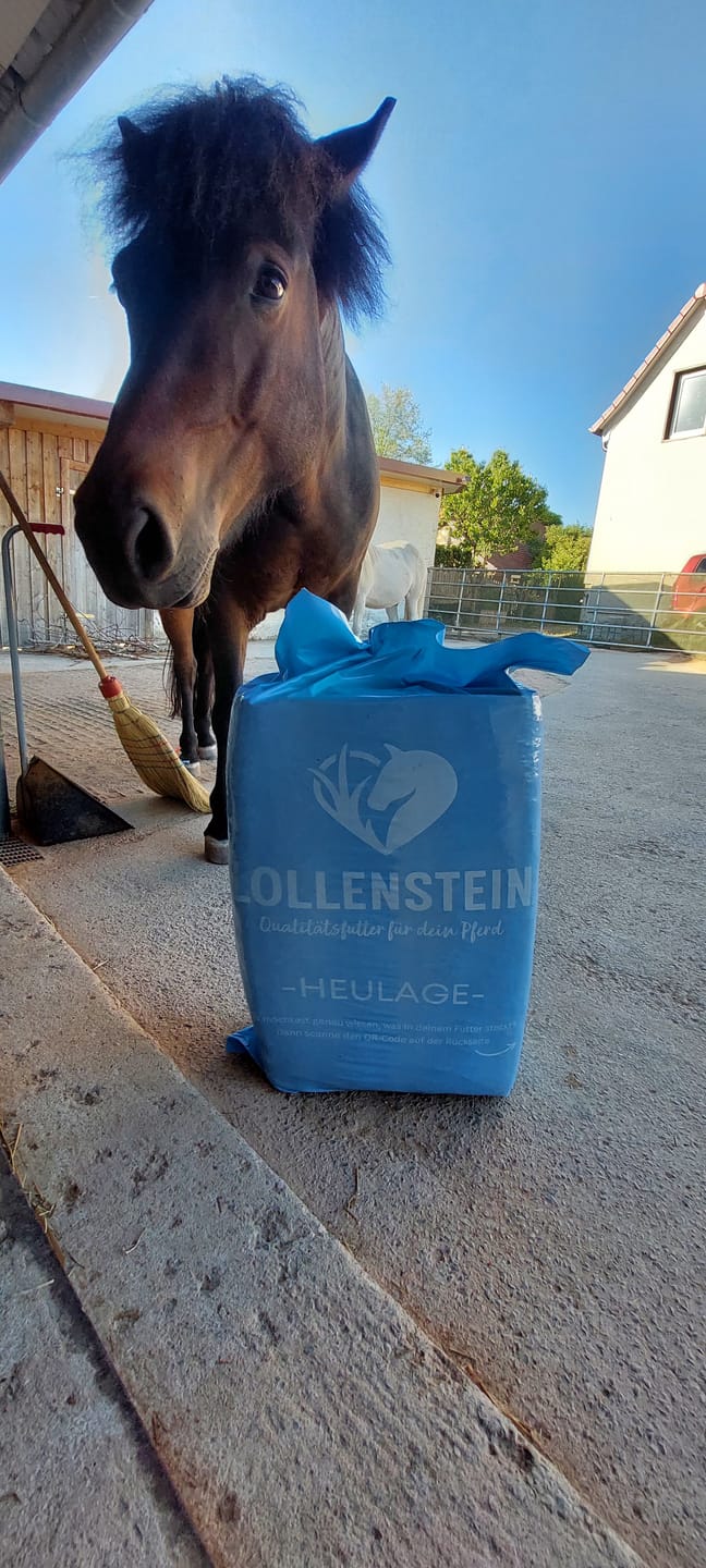 Customer photo review of Lollenstein zuckerreduzierte Ansaatheulage 2. Schnitt - Für dein Pferd mit Kotwasserproblem