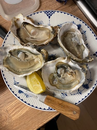 Customer photo review of The OysterClamp 2.0