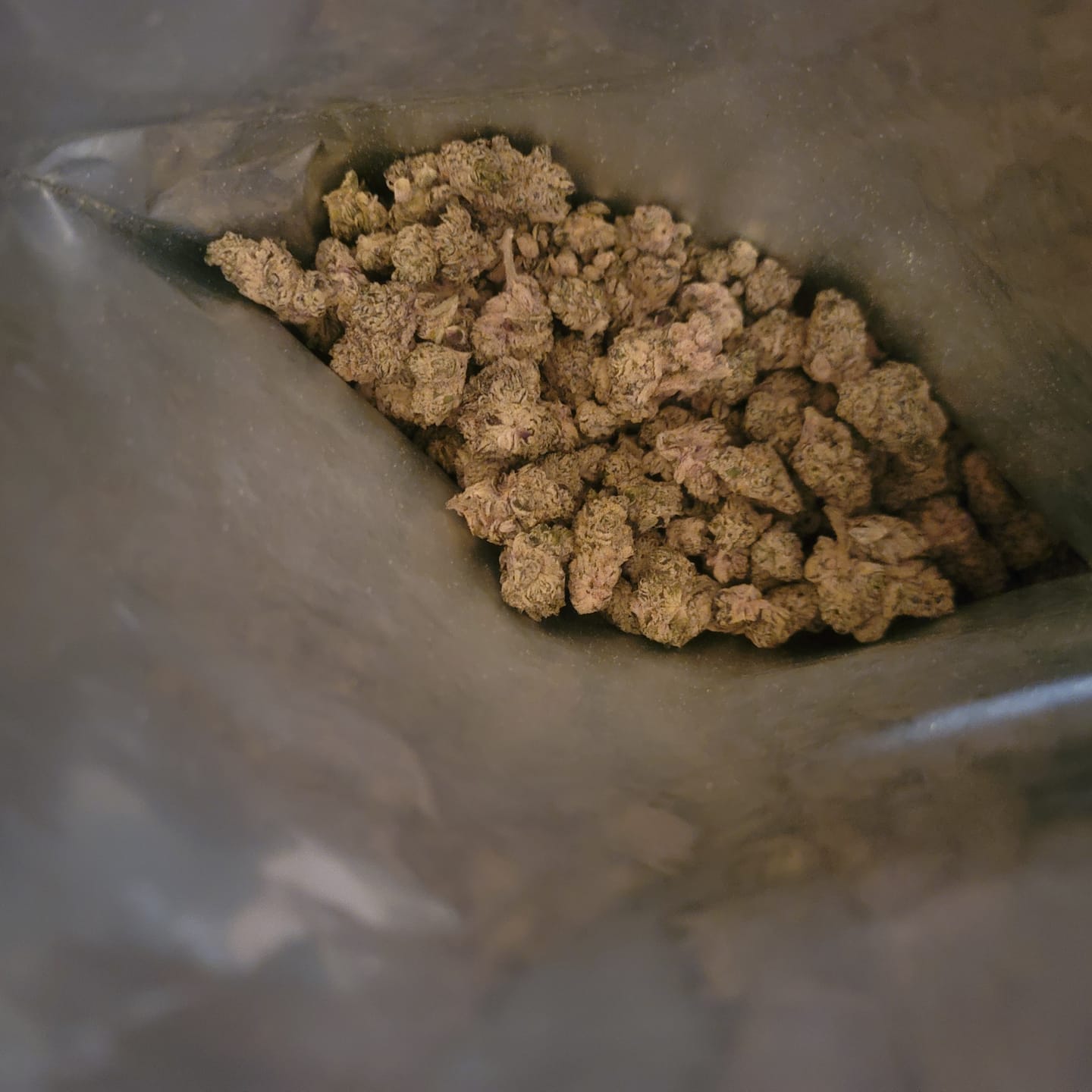 Customer photo review of White Widow Indoor - Bulk - Hybrid