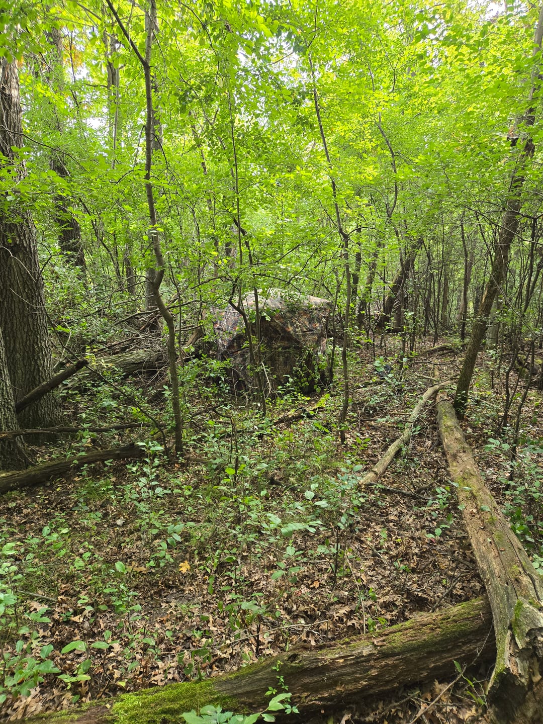 Customer photo review of VisST 270° See Through Ground Blinds | Pop Up Portable Blinds for 2 3 Person Deer Hunting with Silent Magnetic Door
