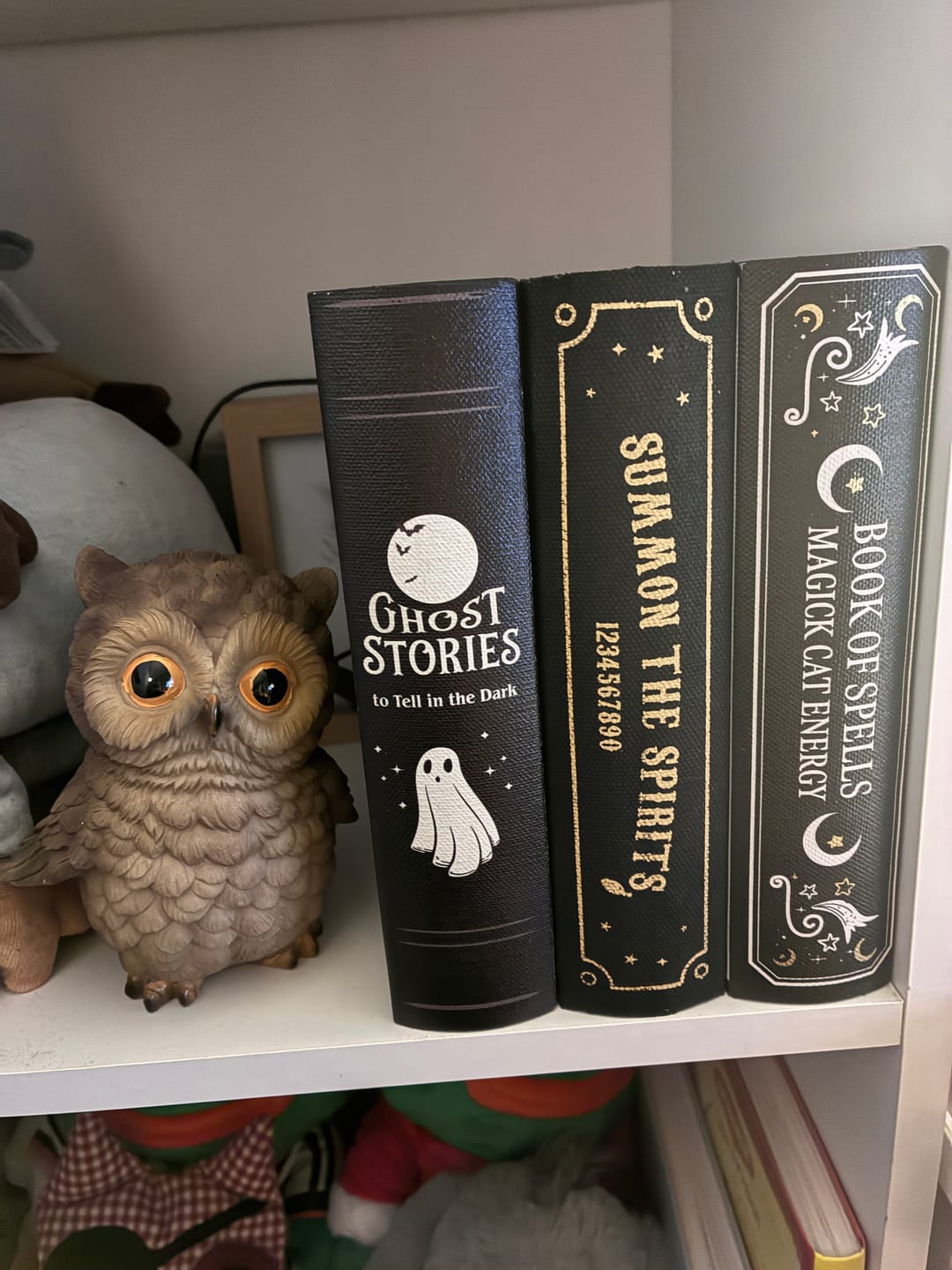 Customer photo review of Buch Aufbewahrungsbox „Ghost Stories“ – Spooky Buchbox