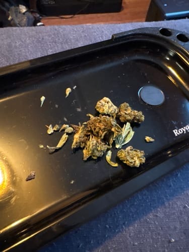 Customer photo review of Lava Cake - 28 Grams - Indica