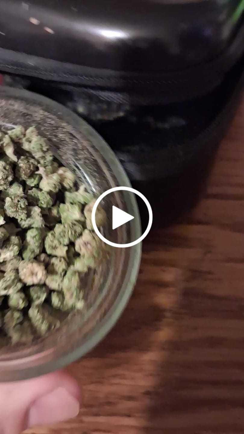 Customer video review of 1 Oz Cheap THCA Small Buds