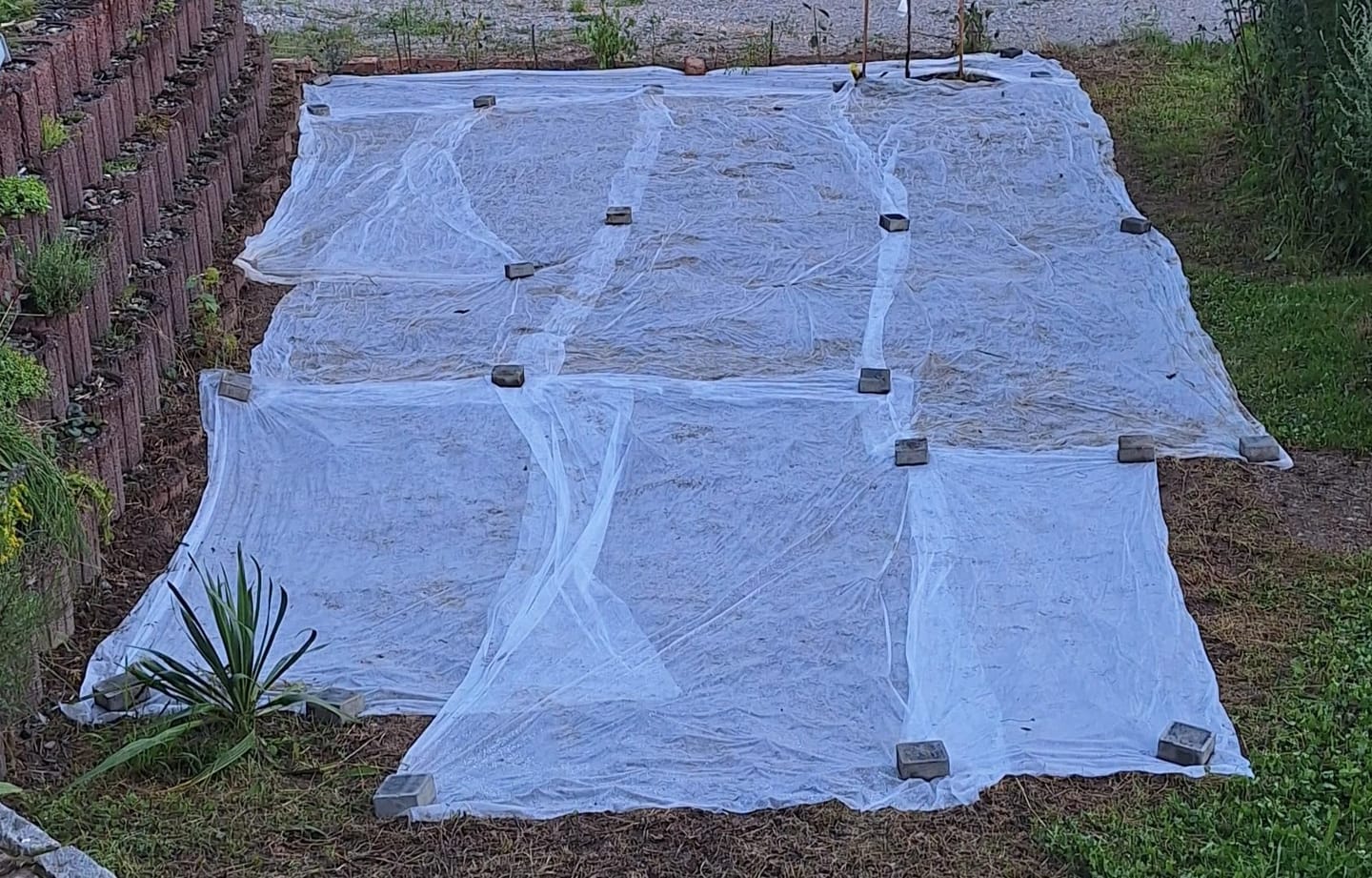 Customer photo review of Floragard Rasensand, Quarzsand, Gartensand, Rasen - Sand zum Lüften schwerer Böden, ideal nach dem Vertikutieren