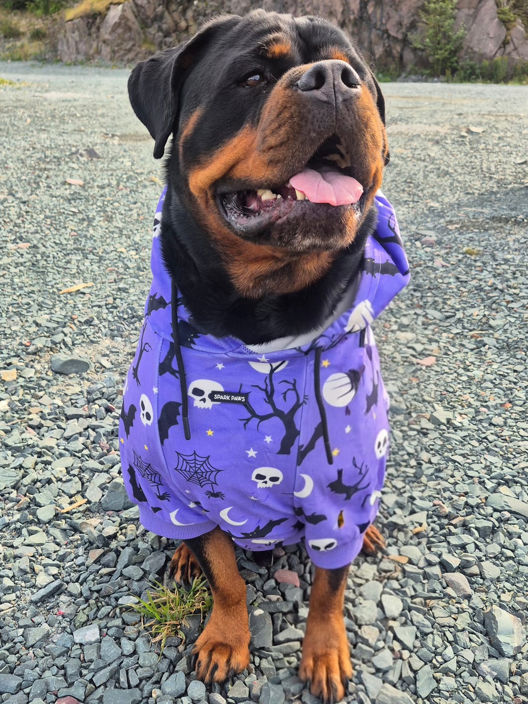 Customer photo review of Halloween Dog Hoodie - Purple