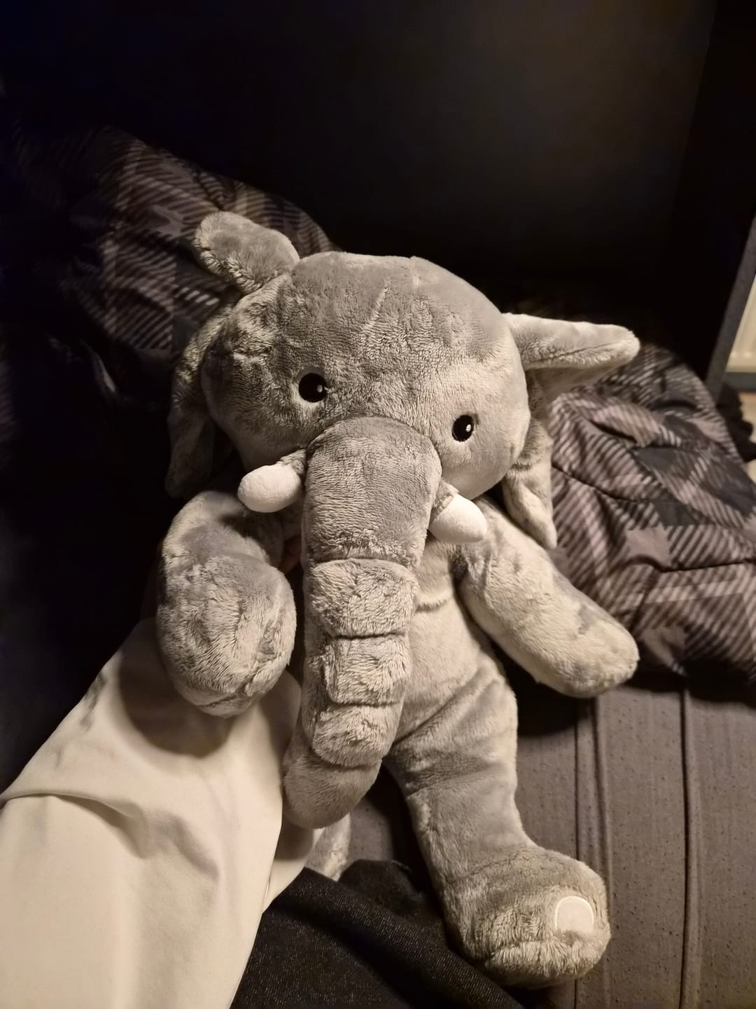 Customer photo review of Lotgenootje Olifant 2kg