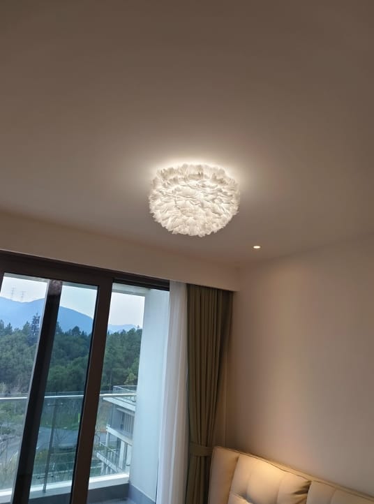 Customer photo review of Goose Feather Ceiling Light, White Metal Frame, Boho, Hardwired