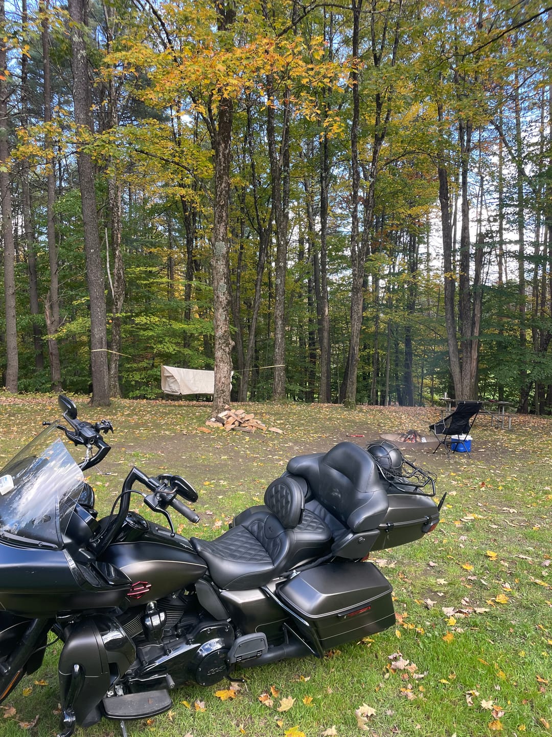 Customer photo review of Haven Safari Pad