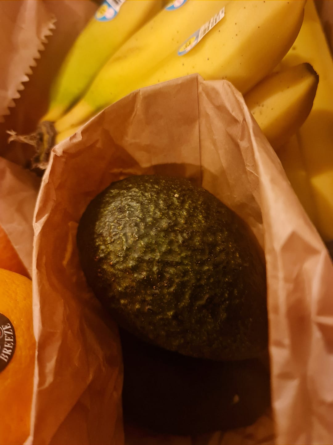 Customer photo review of Avocado Premium Large - 3pc