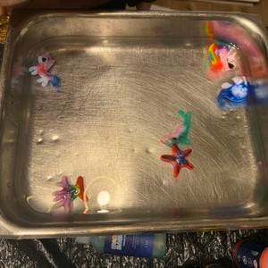 Customer photo review of Magic Water Pets DIY Kit