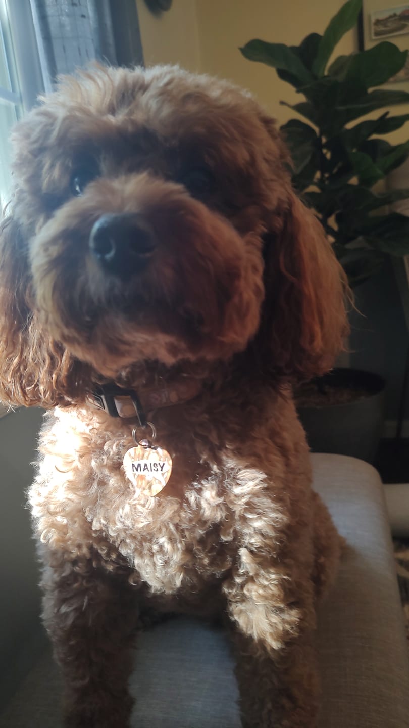 Customer photo review of Name Tag - Falling For You