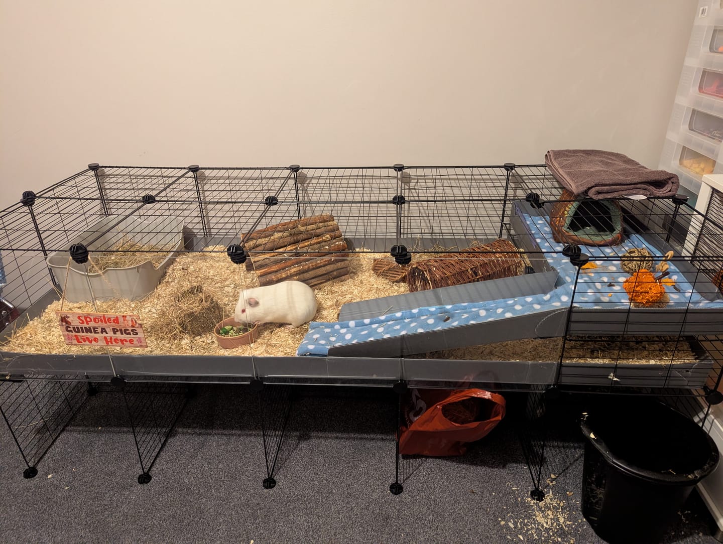 Customer photo review of The Kavee C&C Habitat - 5x2